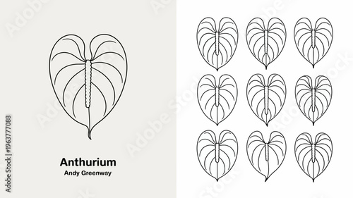 A minimalist botanical illustration depicts nine anthurium leaves arranged in a grid showcasing their heart shaped forms and intricate vein patterns high quality professional detailed modern