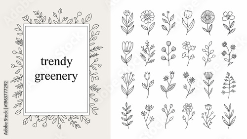 A collection of delicate hand drawn floral and botanical elements with a rectangular frame and text reading trendy greenery high quality professional detailed modern elegant stylish