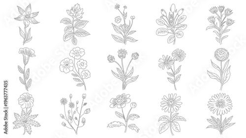 A botanical illustration displays various flowering plant stems and leaves arranged in a vertical repeating pattern on a white background high quality professional detailed modern elegant