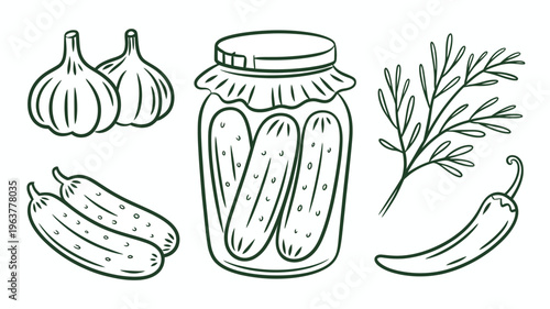A hand drawn illustration showcases pickled cucumbers in a mason jar accompanied by garlic bulbs dill sprigs and a single chili pepper high quality professional detailed