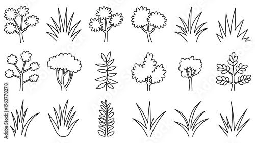 A collection of hand drawn botanical illustrations displays various plant types including flowers shrubs grasses and trees in a linear style high quality professional detailed modern