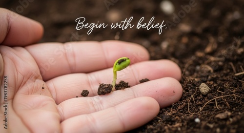 Hand Holds Tiny Sprouting Seedling in Soil