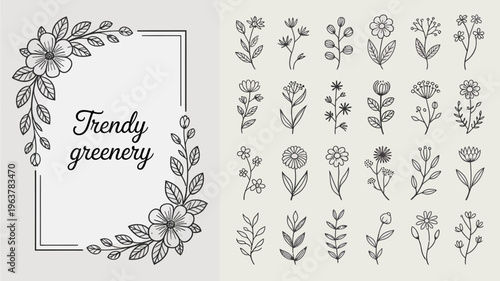 A collection of delicate floral sketches and botanical illustrations featuring various flower types and leafy arrangements in monochrome high quality professional detailed modern elegant stylish clean