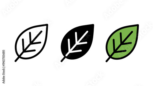 A series of three leaf illustrations are presented showcasing variations in style and color outline solid and filled high quality professional detailed modern elegant stylish clean