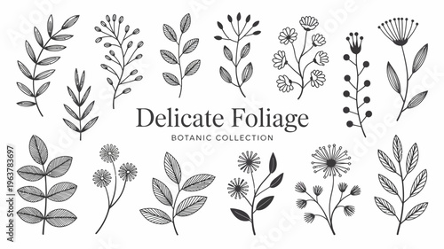 A collection of delicate hand drawn botanical illustrations featuring various leaves sprigs and small flowers in black and white high quality professional detailed modern elegant stylish