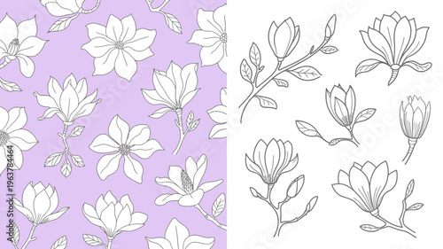 A split composition showcasing delicate magnolia flowers in a repeating pattern and individual botanical illustrations on a white background high quality professional detailed modern elegant stylish