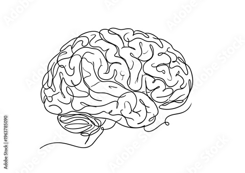 brain one line art