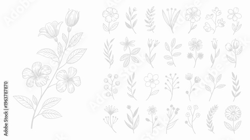 A collection of delicate hand drawn floral and botanical illustrations in grayscale featuring various flower types and leafy branches high quality professional detailed modern elegant stylish