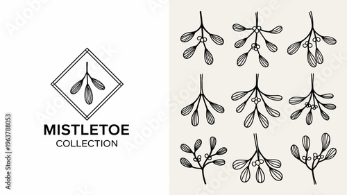 A collection of stylized mistletoe sprigs is presented in a minimalist black and white design with one sprig inside a diamond frame high quality professional detailed