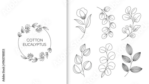 A collection of delicate line art illustrations featuring cotton and eucalyptus botanical elements arranged in wreaths and individual stems high quality professional detailed modern elegant stylish