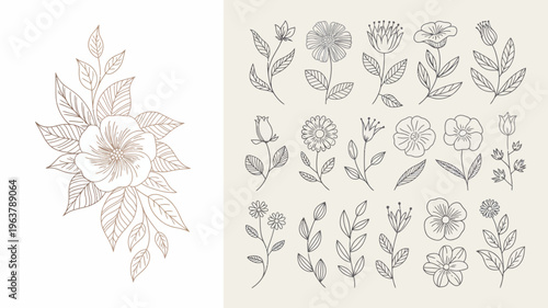 A collection of delicate hand drawn floral illustrations in muted brown tones featuring various flower types and leafy botanical elements high quality professional detailed modern elegant