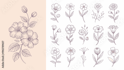 A collection of delicate hand drawn floral illustrations featuring various blooming flowers and leafy stems in a muted grayscale palette high quality professional detailed modern elegant