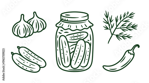 A hand drawn illustration depicts pickled cucumbers in a glass jar accompanied by garlic bulbs dill sprigs and a chili pepper high quality professional detailed modern