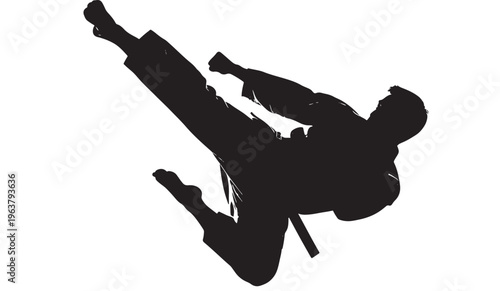 Martial arts silhouette dynamic kick in black color on for sports design Transparent Background