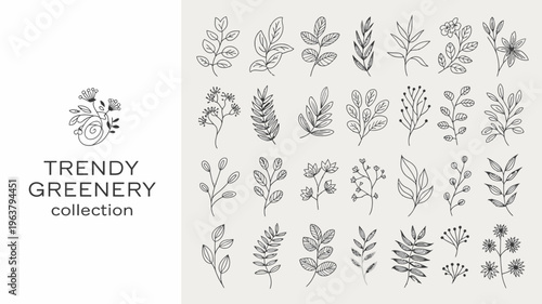A collection of delicate hand drawn botanical illustrations featuring various leaves sprigs and floral elements in a minimalist style high quality professional detailed modern elegant stylish