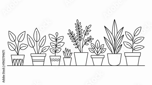 A minimalist black and white illustration depicts a collection of potted plants arranged in a linear fashion showcasing diverse leaf shapes high quality professional detailed modern