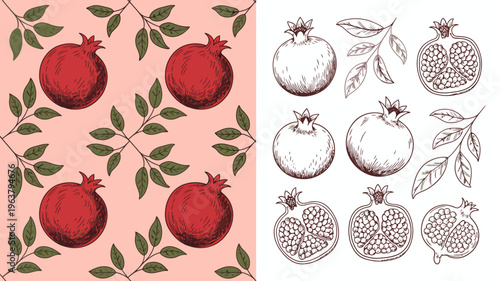 A split composition showcases vibrant red pomegranates with green leaves on a pink background contrasted by monochrome sketches of halved and whole fruits high quality professional