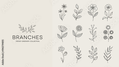 A collection of delicate hand drawn floral and branch illustrations is presented in neutral tones on a light beige background high quality professional detailed modern elegant