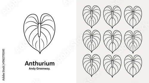 A minimalist illustration displays an anthurium plant s heart shaped leaves in a repeating pattern alongside the plant s name and artist high quality professional detailed