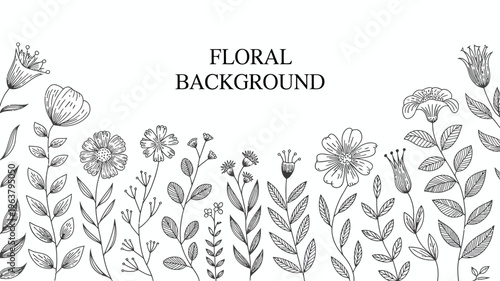 A delicate floral background features hand drawn botanical illustrations in black and white showcasing a variety of wildflowers and leafy stems high quality professional detailed modern