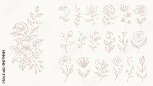 A collection of delicate floral line art illustrations featuring various blossoms and leafy branches rendered in a muted pink tone high quality professional detailed modern elegant