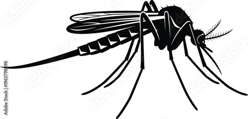 Flat vector mosquito silhouette illustration, black insect design, biology artwork concept, disease vector symbol, public health icon, entomology science graphic element