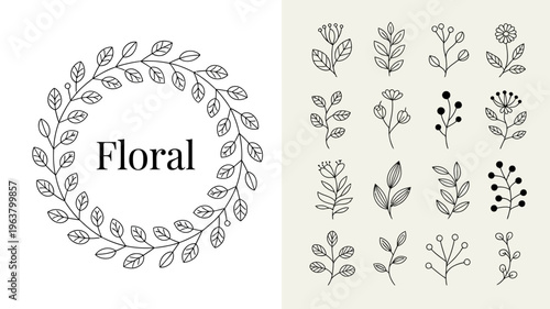 A collection of delicate hand drawn floral elements and botanical illustrations is presented in a minimalist black and white style high quality professional detailed modern elegant