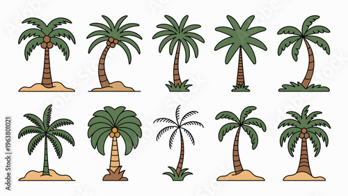 A collection of ten stylized palm trees with varying heights and foliage presented on a plain white background high quality professional detailed modern elegant stylish clean