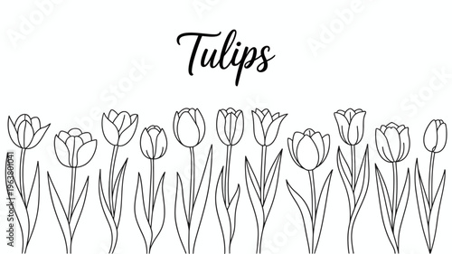 A simple black and white illustration depicts a row of elegantly drawn tulips with long stems and pointed leaves high quality professional detailed modern elegant stylish