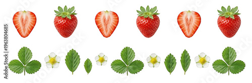 Strawberries and Flowers Border Decoration