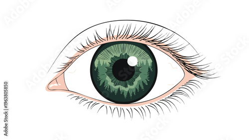 Vibrant Green Eye Iris Close-up, Human Vision Concept, Medical Illustration