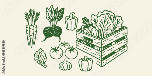 Vegetable crate set with carrot lettuce cucumber tomato and onion in outline sketch hand drawn vector illustration
