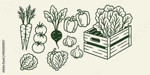 Vegetable crate set with carrot lettuce cucumber tomato and onion in outline sketch hand drawn vector illustration