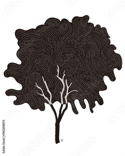 어도비 45 홍제천 버드나무