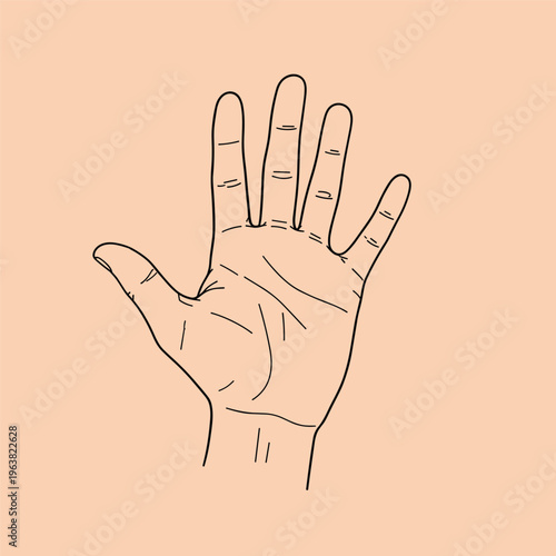 Human Hand Palm Up Illustration.