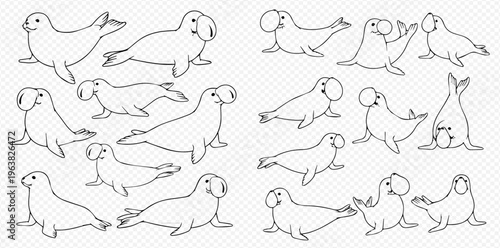 Set of cute cartoon elephant seals in various poses, hand-drawn outline illustrations on a transparent background.