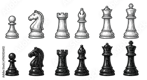 Vintage chess pieces arranged in two rows white and black
