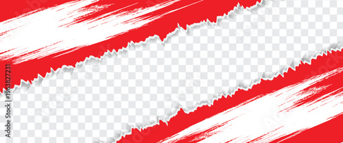 Gray background with copyspace and torn paper edge. Vector illustration.