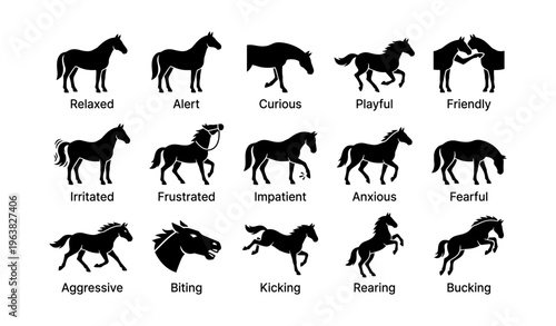 Silhouette illustrations of horse emotions and behaviors in various poses