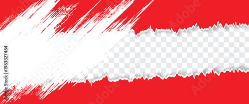 Gray background with copyspace and torn paper edge. Vector illustration.