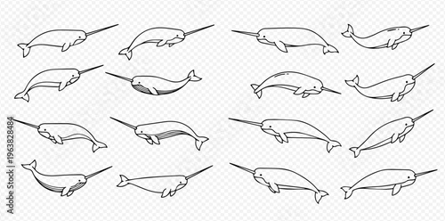 Set of hand-drawn narwhal line art illustrations in various poses, perfect for marine life designs.