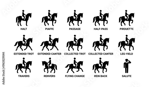 Horse dressage movement silhouettes with male riders and commands