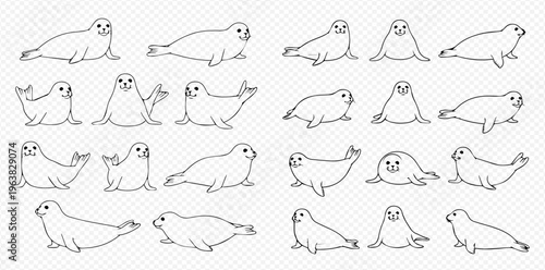Set of cute cartoon seals and sea lions in various poses, black and white outline illustrations.