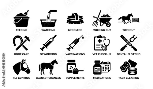 Icons depicting horse care activities: feeding, grooming, medical care, and more