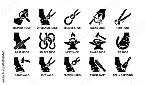 Farrier tasks illustrated: horse hoof cleaning, trimming, and shoe fitting process