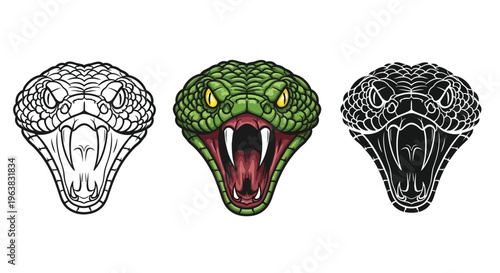 Ferocious viper head vector illustration set showing colored line art and silhouette designs