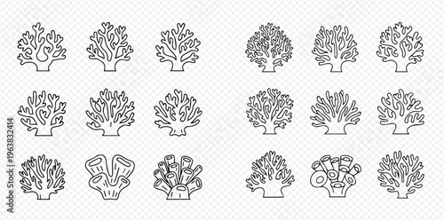 Set of various coral reef outlines for marine life and underwater themes.