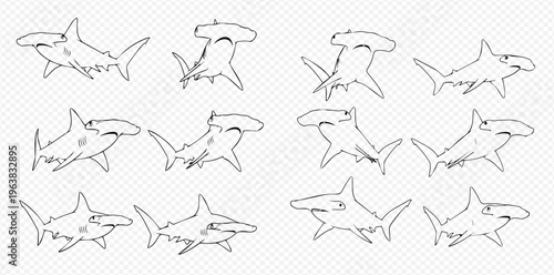 Collection of hand-drawn hammerhead shark sketches in various poses on a white background, perfect for marine life illustrations and educational materials.