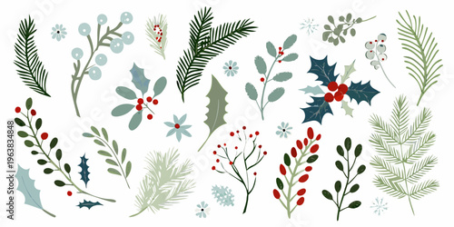 A collection of illustrated winter botanical elements and festive foliage