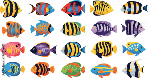 Colorful tropical fish collection with exotic marine species, decorative aquarium fish illustration set isolated on white background for ocean and wildlife design
